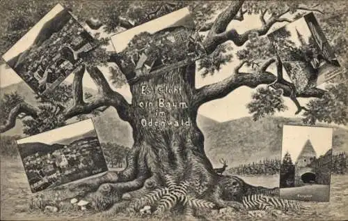 Ak Lindenfels im Odenwald, Totalansicht, Burghof, Es steht ein Baum im Odenwald