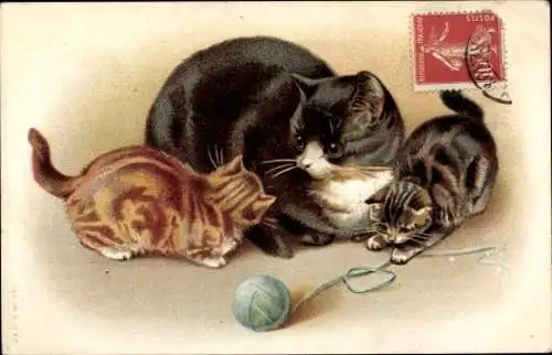 Ak Katzenfamilie, Katzen spielen mit Wollknäuel