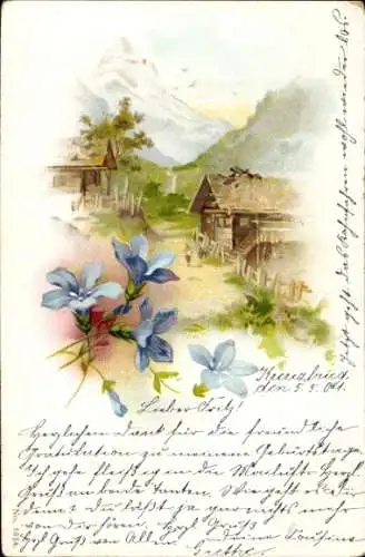 Litho Kitsch, Häuser, Gebirge, Blaue Blumen
