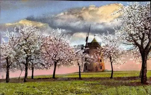 Ak Ortspartie, Windmühle