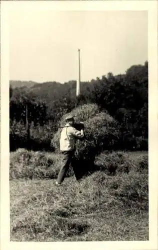 Foto Ak Landwirtschaft, Heuernte