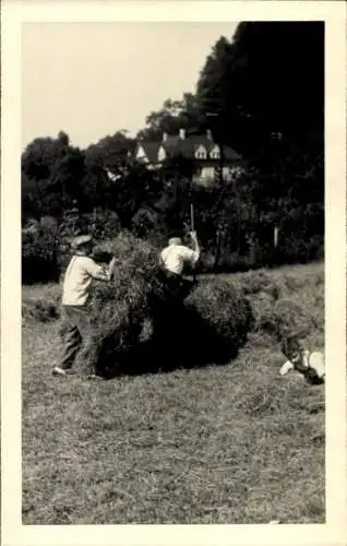 Foto Ak Landwirtschaft, Heuernte