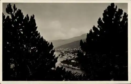 Ak Volosca Opatija Kroatien, Schwarze Nadelbäume, Blick auf eine Küstenstadt, Panorama