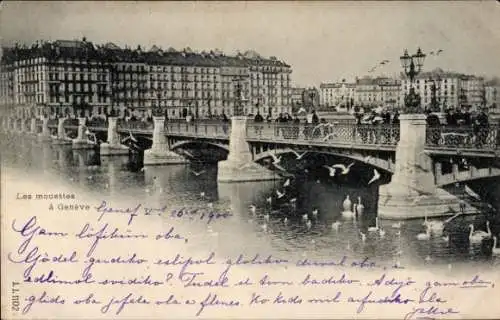 Ak Genf Stadt Schweiz, Brücke mit Möwen,  Architektur, Wasser, Stadtansicht, 