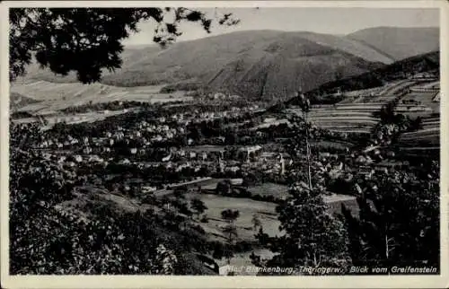 Ak Bad Blankenburg in Thüringen, Blick vom Greifenstein,  Thüringen, Landschaft, Häuser