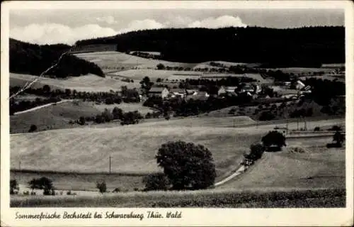 Ak Bechstedt bei Schwarzburg in Thüringen, Gesamtansicht