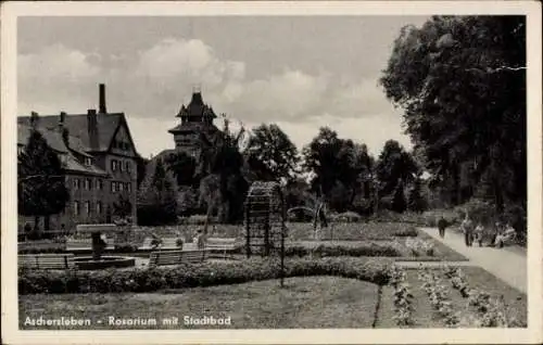 Ak Aschersleben im Salzlandkreis, Rosarium mit Stadtbad