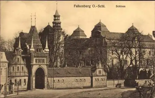 Ak Niemodlin Falkenberg Oberschlesien, Schloss
