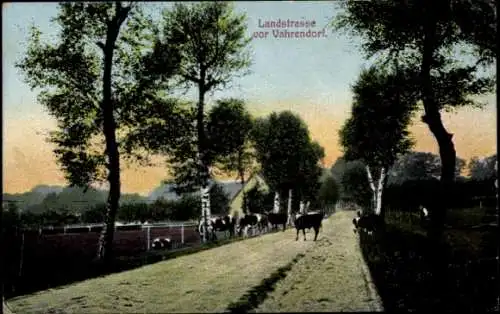 Ak Vahrendorf Rosengarten Niedersachsen, Landstraße, Bäume, Kühe, sanfte Landschaft
