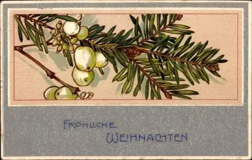 Ak Frohe Weihnachten, Tannenzweig