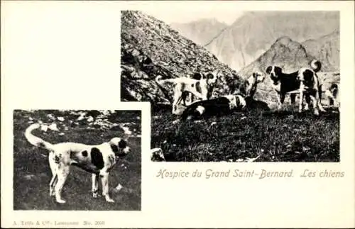 Ak Kanton Wallis, Hospice du Grand St-Bernard