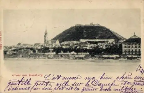 Ak Hainburg an der Donau Niederösterreich, Panorama