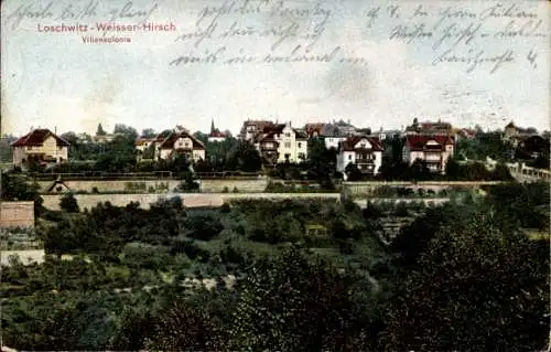 Ak Dresden Loschwitz Weißer Hirsch, Villenkolonie, Gesamtansicht