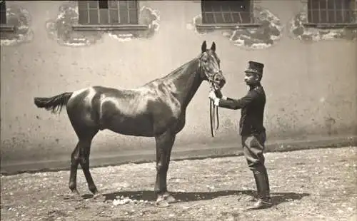 Foto Ak Mann in Uniform, Pferd