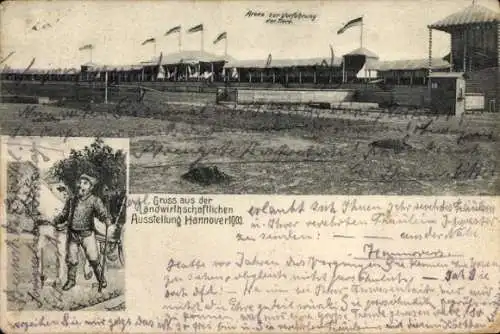 Ak Hannover, Landwirtschaftliche Ausstellung 1903