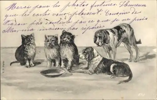 Künstler Ak Katzen, Hunde