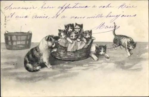 Künstler Ak Katzen beim Spielen, Weidenkorb