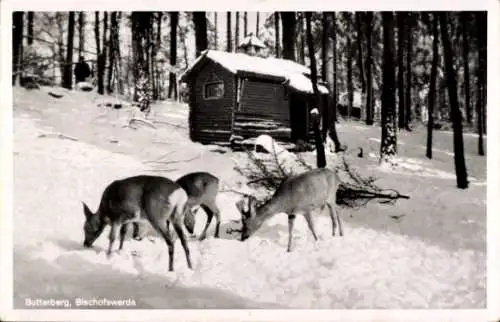 Ak Bischofswerda in Sachsen, Rehe im Schnee, Hütte im Wald, winterliche Landschaft