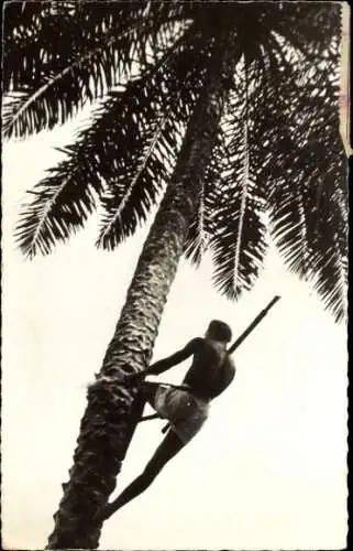 Ak Dakar Senegal, Junge klettert einen hohen Palmenbaum, Schwarz-Weiß-Foto