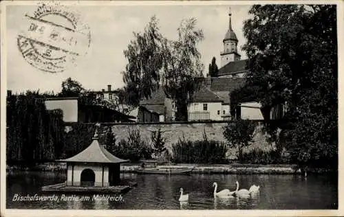 Ak Bischofswerda in Sachsen, Historisches Gebäude, Mühlteich, Schwäne, Natur