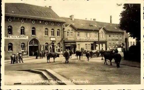Ak Tambach Dietharz Thüringer Wald, Fels Falkenstein, Historische Straße, Hotel Zum Lamm, Austrei