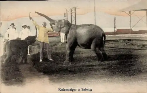 Ak Sabang Indonesien, Elefant, Mann mit Peitsche, kleiner Elefant, Menschenmenge