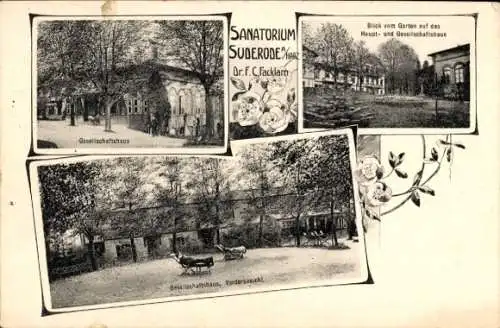 Ak Bad Suderode Quedlinburg im Harz, Sanatorium, Garten