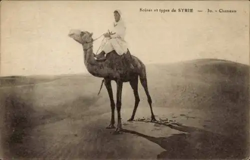 Ak Syrien, Kamelreiter in der Wüste