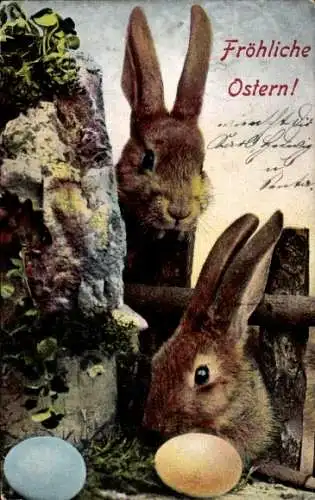 Ak Fröhliche Ostern, Hasen mit Ostereiern