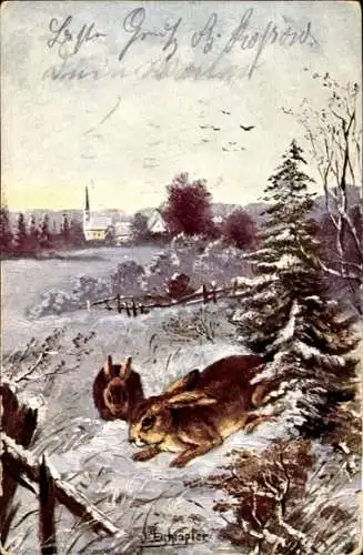 Künstler Ak Hasen im Schnee