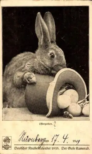 Ak Hase mit Eiern