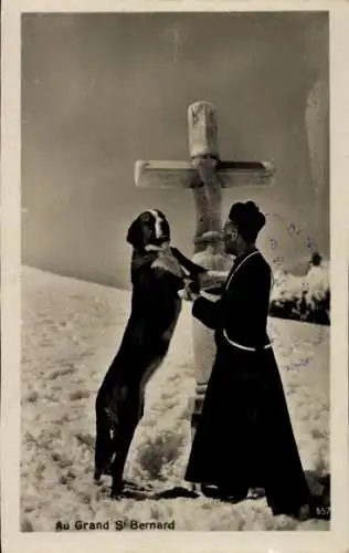 Ak St Bernard Sankt Bernhard Kanton Wallis, Grand St Bernard, Mönch mit Bernhardiner