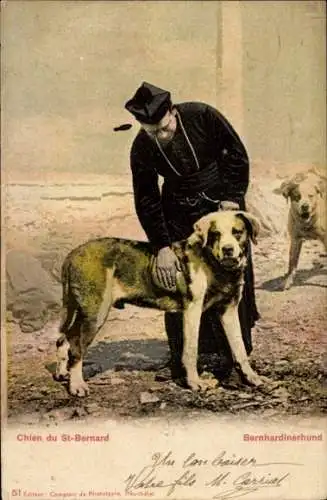 Ak Priester mit Bernhardiner