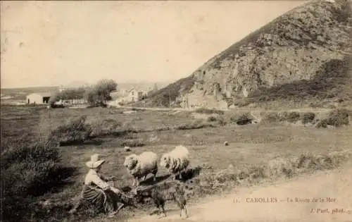 Ak Carolles Plage Jullouville Manche, Landschaft, Route de la Mer