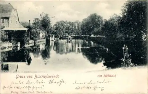 Ak Bischofswerda in Sachsen, Am Mühlteich