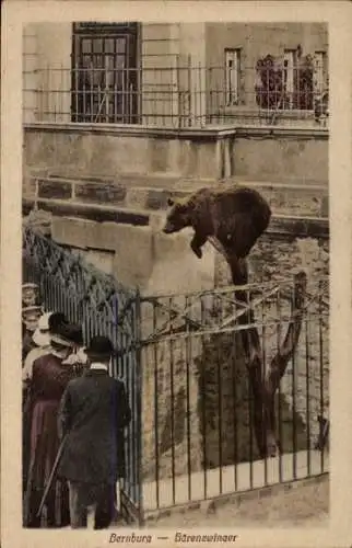 Ak Bernburg an der Saale, Bärenzwinger, Braunbär