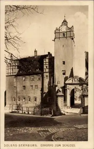 Ak Bernburg an der Saale, Eingang zum Schloss