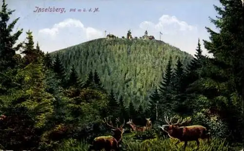 Ak Brotterode in Thüringen, Großer Inselsberg, Hirsche, Wald