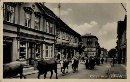 Ak Friedrichroda im Thüringer Wald, Kuhherde durch den Ort