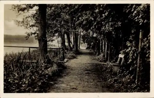 Ak Seilershof Gransee in der Mark, Promenade, Sitzbank