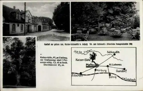 Ak Schkeuditz in Sachsen, Gasthof zur grünen Ave, Kaiser-Eiche,  Maßlau, Horburg, Karte