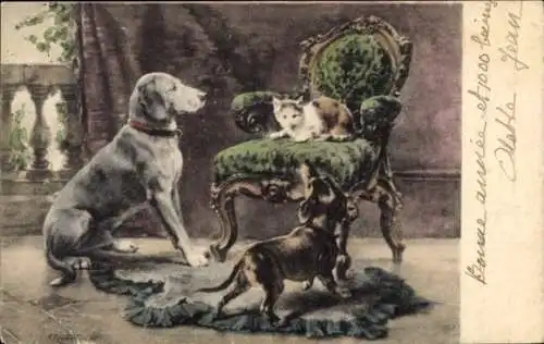 Ak Katze auf dem Sessel, Dackel, Hunde