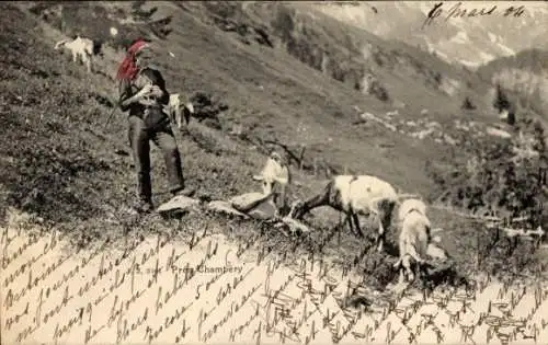 Ak Montreux Kanton Waadt Schweiz, Schweizerische Tracht, Ziegen, Bäuerin