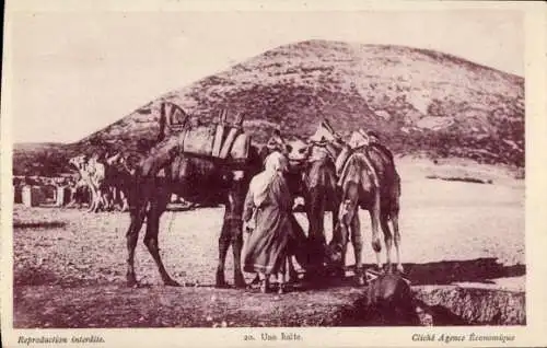 CPA Libanaise, Une halte, Kamele