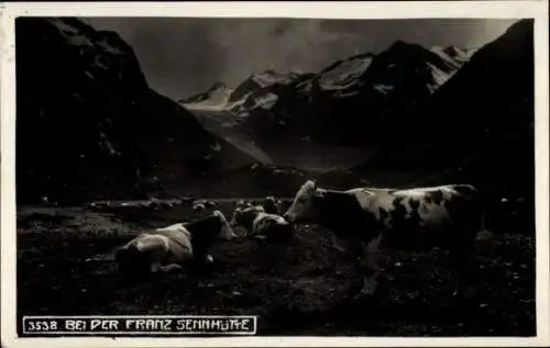 Ak Neustift im Stubaital in Tirol, Landschaft bei Franz Senn Hütte, Kühe
