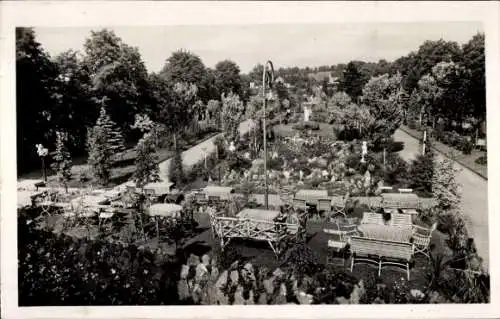 Ak Zwickau in Sachsen, Rosarium Zwickaus Neue Welt, Festwiese