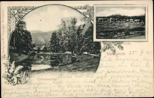 Ak Christianental Wernigerode im Harz, Christianenthal, idyllische Landschaft, Kühe auf der Weide