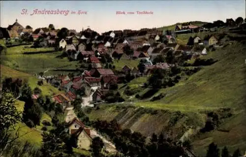 Ak St. Andreasberg Braunlage im Harz, Blick v. Treibholz