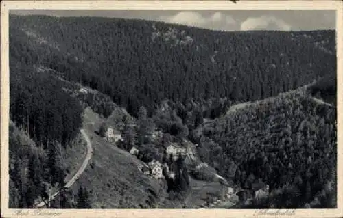 Ak Duszniki Zdrój Bad Reinerz Schlesien, Schmelzetal