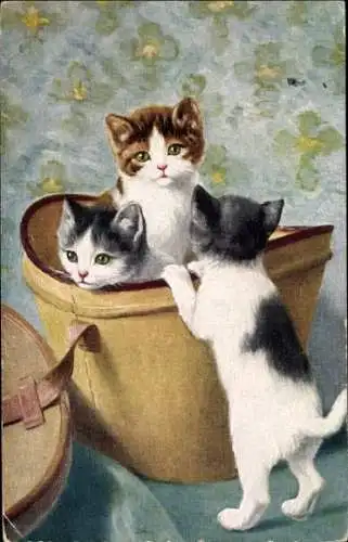Künstler Ak Drei Katzen, Hutkoffer